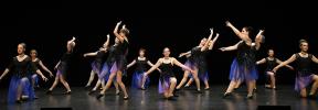 Gala de danse classique adultes 2026 